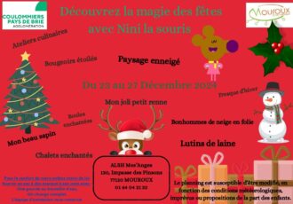 Planning des activités ALSH Chicotets