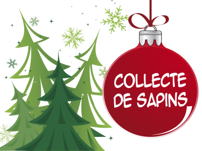 Collecte sapin de Noel 2022